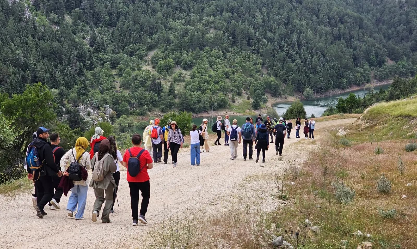 Patika boyunca sıra halinde yürüyen kalabalık topluluk